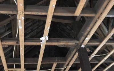 Nieuw project in Den Haag